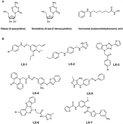 Synthesis and Evaluation of a New Type of Small Molecule Epigenetic Modulator Containing Imidazo[1,2-b][1,2,4]triazole Motif